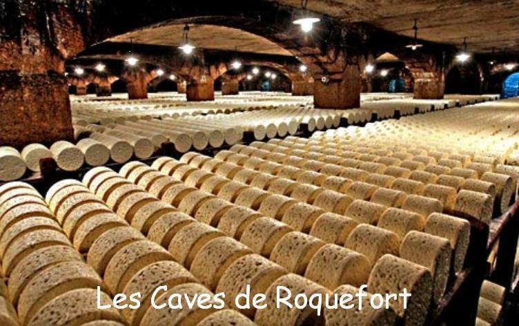 Les Palmiers Des Causses Βίλα Saint-Rome-de-Tarn Εξωτερικό φωτογραφία