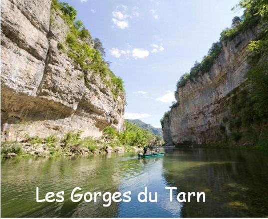 Les Palmiers Des Causses Βίλα Saint-Rome-de-Tarn Εξωτερικό φωτογραφία